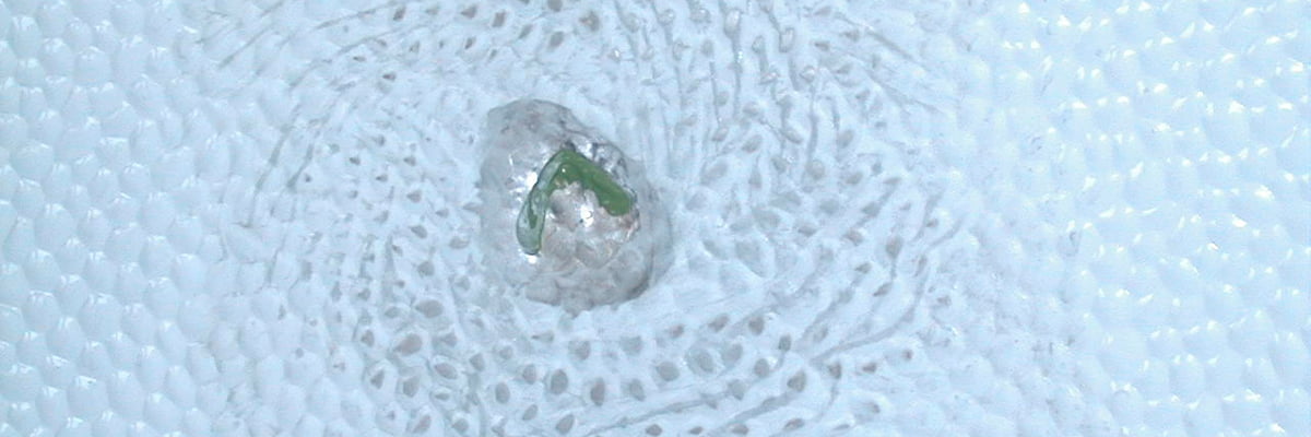 reparación de superficies de caravanas