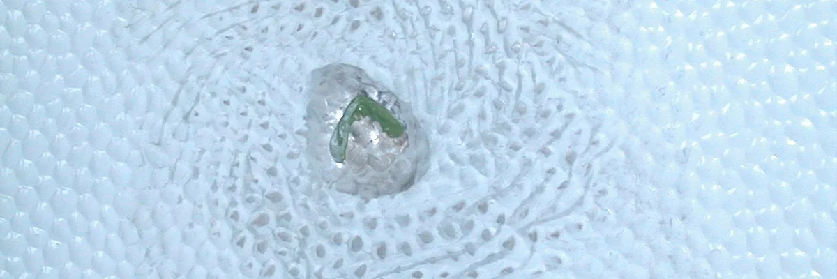 Wohnwagen-Oberflächenreparatur