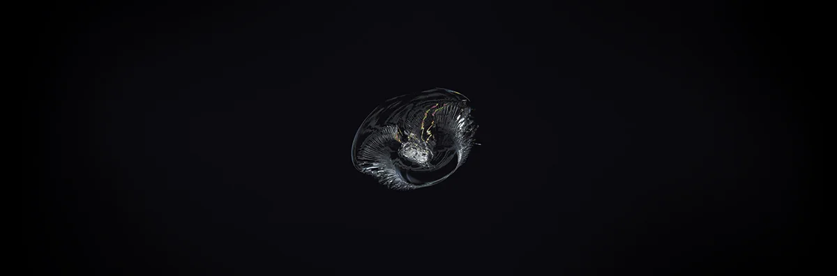 Каменен чипс